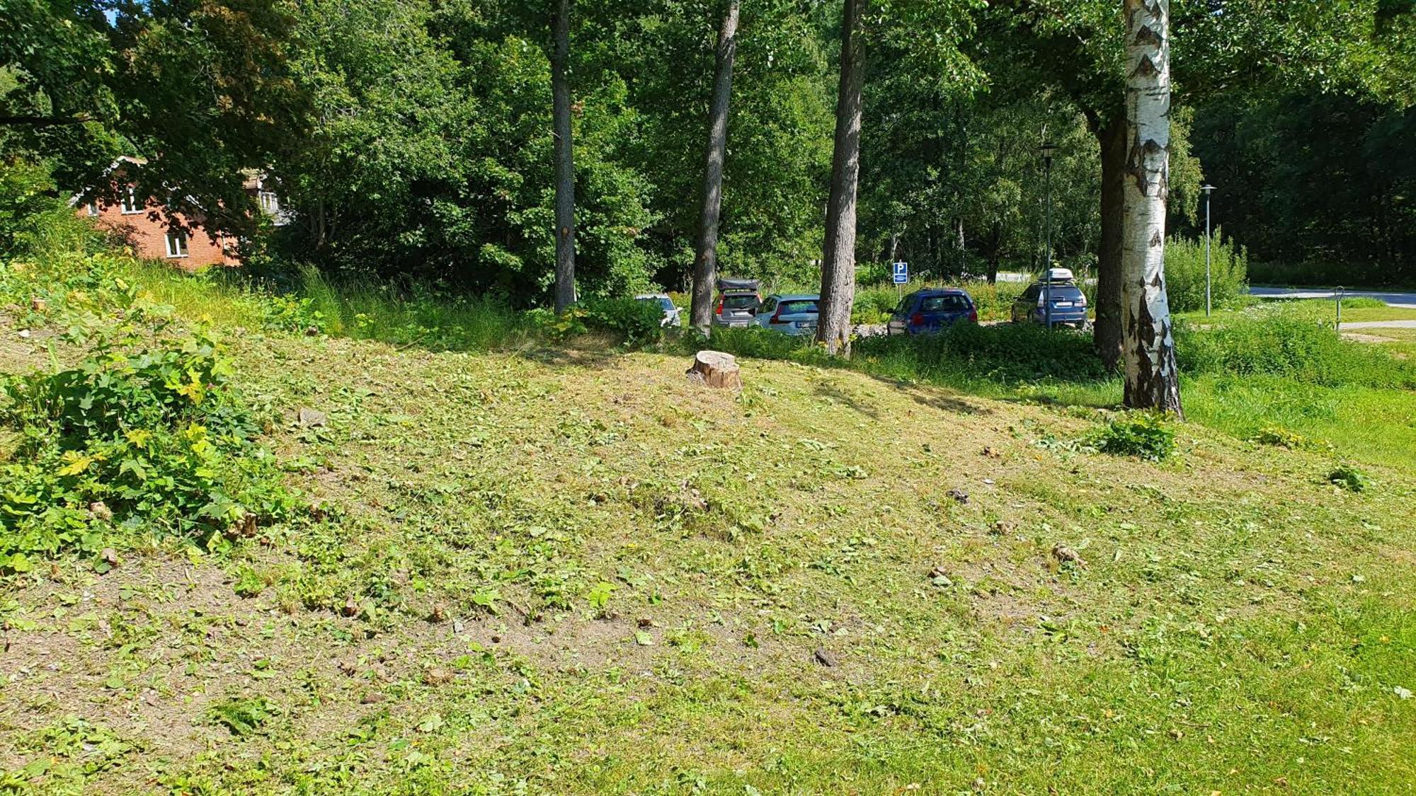Folketshus I Olshammar Panzió Kültér fotó